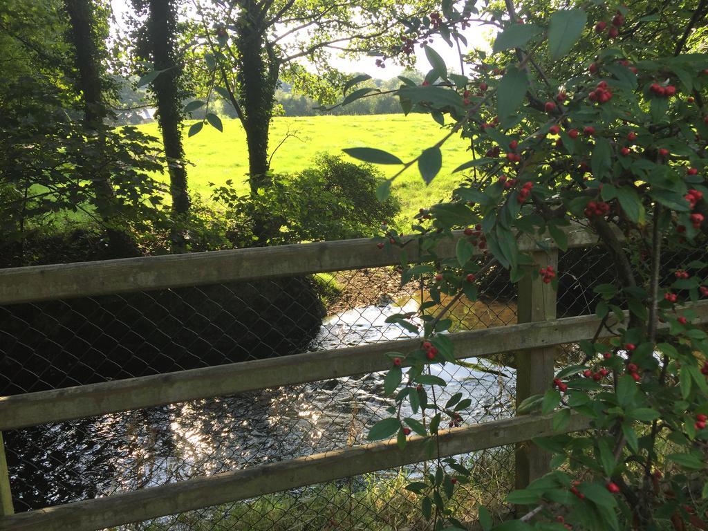 Riverbank, Country Pub And Guest house *